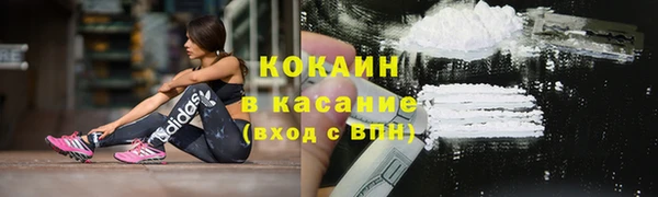 амф Арсеньев