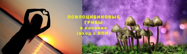 амф Арсеньев
